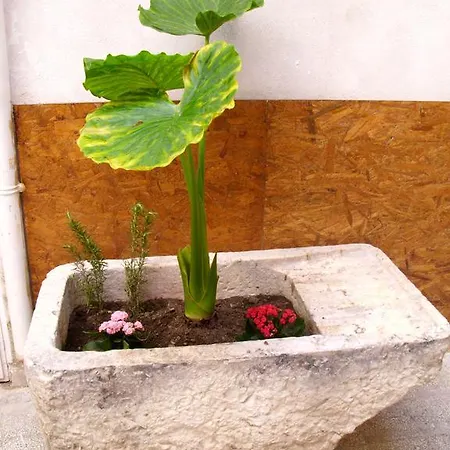 Feriehus Bilocale Al Centro