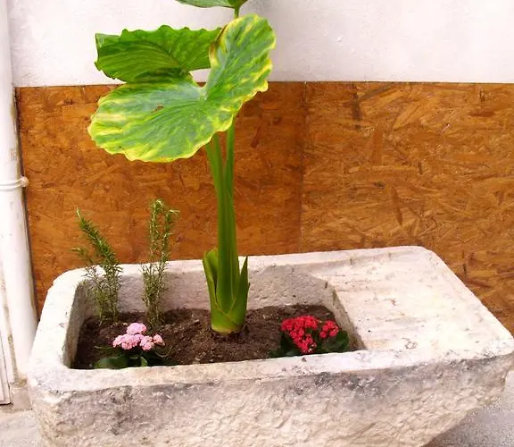 Holiday home Bilocale Al Centro